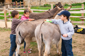 ChildrenInAFarm